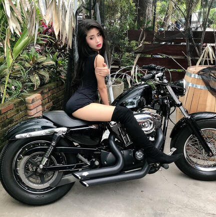 Galeri Oliolie Foto 10